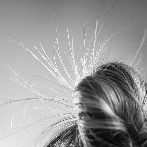 THE FOUNDATION OF RADIANT HAIR HEALTH